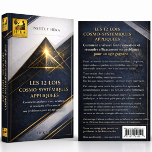 les 12 lois cosmo systÉmiques appliquÉes : comment analyser toute situation et résoudre efficacement vos problèmes pour un agir gagnant